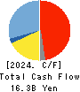 RORZE CORPORATION Cash Flow Statement 2024年Feb期 RORZE CORPORATION Cash Flow Statement 2024年2月期