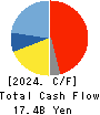 Restar Corporation Cash Flow Statement 2024年3月期