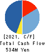 NJ Holdings Inc. Cash Flow Statement 2021年6月期