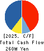 AVIX, Inc. Cash Flow Statement 2025年Mar期 AVIX, Inc. Cash Flow Statement 2025年3月期