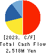 Central Forest Group, Inc. Cash Flow Statement 2023年12月期