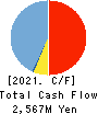 CHIeru Co.,Ltd. Cash Flow Statement 2021年3月期