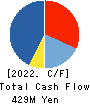 Virtualex Holdings,Inc. Cash Flow Statement 2022年3月期