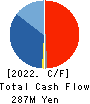 CSS HOLDINGS, LTD. Cash Flow Statement 2022年9月期