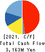 TANAKA SEIMITSU KOGYO CO.,LTD. Cash Flow Statement 2021年3月期