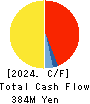 All About,Inc. Cash Flow Statement 2024年3月期