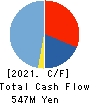 OutlookConsulting Co.,Ltd. Cash Flow Statement 2021年3月期