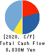 Raysum Co., Ltd. Cash Flow Statement 2020年3月期