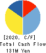 Ubiteq, INC. Cash Flow Statement 2020年6月期