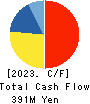 AISANTECHNOLOGY CO.,LTD. Cash Flow Statement 2023年Mar期 AISANTECHNOLOGY CO.,LTD. Cash Flow Statement 2023年3月期