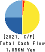 TDSE Inc. Cash Flow Statement 2021年3月期