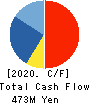 IX Knowledge Incorporated Cash Flow Statement 2020年3月期