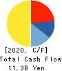 GEO HOLDINGS CORPORATION Cash Flow Statement 2020年3月期