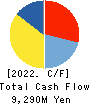 Kyodo Printing Co.,Ltd. Cash Flow Statement 2022年3月期