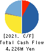 HIRATA Corporation Cash Flow Statement 2021年3月期