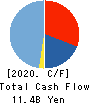 NETSTARS Co.,Ltd. Cash Flow Statement 2020年12月期