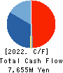 DTS CORPORATION Cash Flow Statement 2022年Mar期 DTS CORPORATION Cash Flow Statement 2022年3月期