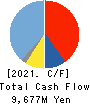 NITTO BOSEKI CO.,LTD. Cash Flow Statement 2021年3月期