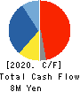 YCP Holdings Cash Flow Statement 2020年12月期