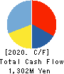 OLBA HEALTHCARE HOLDINGS, Inc. Cash Flow Statement 2020年6月期