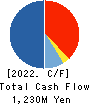 RINKO CORPORATION Cash Flow Statement 2022年3月期