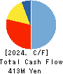 AISANTECHNOLOGY CO.,LTD. Cash Flow Statement 2024年Mar期 AISANTECHNOLOGY CO.,LTD. Cash Flow Statement 2024年3月期