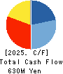 INTRANCE CO.,LTD. Cash Flow Statement 2025年3月期