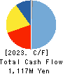 IWATSU ELECTRIC CO.,LTD. Cash Flow Statement 2023年3月期