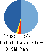 ASTMAX Co., Ltd. Cash Flow Statement 2025年Mar期 ASTMAX Co., Ltd. Cash Flow Statement 2025年3月期
