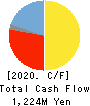 ReproCELL Incorporated Cash Flow Statement 2020年3月期