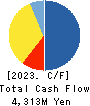 INTELLEX Co.,Ltd. Cash Flow Statement 2023年5月期