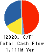 SYNCLAYER INC. Cash Flow Statement 2020年12月期