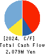 STrust Co.,Ltd. Cash Flow Statement 2024年2月期