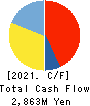 TOYO WHARF & WAREHOUSE CO.,LTD. Cash Flow Statement 2021年3月期