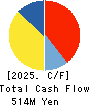 CVS Bay Area Inc. Cash Flow Statement 2025年Feb期 CVS Bay Area Inc. Cash Flow Statement 2025年2月期