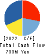 Estore Corporation Cash Flow Statement 2022年3月期