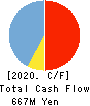 StemCell Institute Inc. Cash Flow Statement 2020年3月期