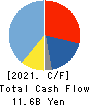 MITSUI MATSUSHIMA HOLDINGS CO., LTD. Cash Flow Statement 2021年3月期