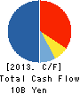 The Daiei,Inc. Cash Flow Statement 2013年2月期