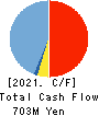 PHYZ Holdings Inc. Cash Flow Statement 2021年Mar期 PHYZ Holdings Inc. Cash Flow Statement 2021年3月期