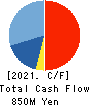 Double Standard Inc. Cash Flow Statement 2021年3月期