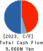 Raysum Co., Ltd. Cash Flow Statement 2023年3月期