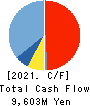 SK KAKEN CO.,LTD. Cash Flow Statement 2021年3月期