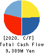 DANTO HOLDINGS CORPORATION Cash Flow Statement 2020年12月期