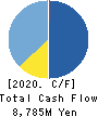 OPEN Group, Inc. Cash Flow Statement 2020年2月期