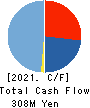 DAIUN CO.,LTD. Cash Flow Statement 2021年3月期