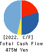 EYEZ,INC. Cash Flow Statement 2022年12月期
