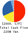 SPiRE, Inc. Cash Flow Statement 2009年12月期