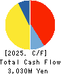 I-NET CORP. Cash Flow Statement 2025年3月期
