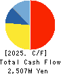 Solvvy Inc. Cash Flow Statement 2025年Jun期 Solvvy Inc. Cash Flow Statement 2025年6月期